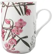 Maxwell & Williams Royal Botanic Gardens Australian Botanics Mug Boronia 300ML Gift Boxed