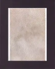 8X10" Matted Print Art Classic Picture: Gunter Uecker, 1968 Rose