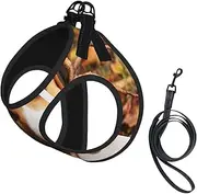 Cute Beagle print Dog Harness and Leash Set, Reflective Adjustable Puppy Vest for Small Medium Large Dogs, Cats