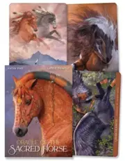 ORACLE OF THE SACRED HORSE KIT Deck Card Book Set horses tarot cards magic witch