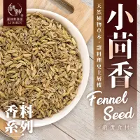 在飛比找蝦皮購物優惠-【 和春堂 小茴香 】 茴香 香料 印度香料 甜茴香 辛香料