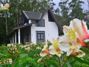 Villa Sky Breeze Nuwara Eliya Sri Lanka