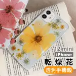 IPHONE12 MINI 手機保護殼透明永生花四邊防摔款(12MINI保護殼 12MINI手機殼)