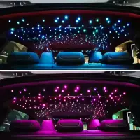 在飛比找蝦皮商城精選優惠-汽車通用改裝氛圍燈 12V聲控車內頂棚改裝滿天星 LED光纖