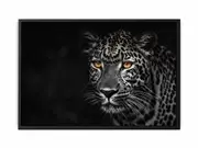 Leopard in Dark Framed Print Fine Art Poster Print