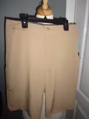 Quick Silver Amphibian Tan Shorts Size 30/16