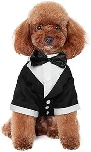 Kuoser Dog Shirt Puppy Pet Small Dog Clothes, Stylish Suit Bow Tie Costume, Wedding Shirt Formal Tuxedo with Black Tie, Dog Prince Wedding Bow Tie Suit,XL