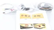 New 5545491 Bendix R.H. Seal Kit