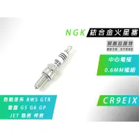 在飛比找蝦皮商城精選優惠-附發票 NGK 銥合金 CR9EIX 火星塞 IX 極細銥合