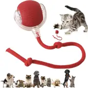Interactive Electric Smart Pet Chase Ball stimulating Dogs Toy Cat Toy Pet Toy