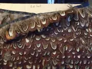 Pheasant Feathers 20 feet/ 6.6 YARDS Yard PHEASANT PLUMAGE FEATHER TRIM + Extras