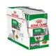 ROYAL CANIN 法國皇家 小型老犬12+濕糧 MN+12W