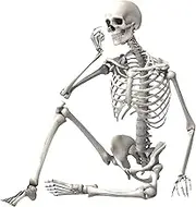 Eigell Halloween Skeleton Skeleton Model Full Body for Front Lawn Photo Prop Decor