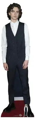 Timothee Chalamet Waistcoat Style Lifesize and Mini Cardboard Cutout / Standee