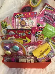 Shopkins Easter Basket - Get Well, Birthday, All occasion basket