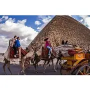 Save 10.01%! Private Cairo Tour to Pyramids of Giza Museum Citadel