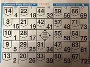 1on Double Action Bingo Paper Cards (500 Sheets per Pack)