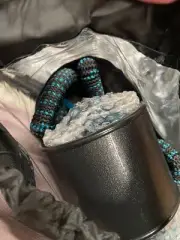 Expandable / Flexible Garden Hose With Spray Nozzle