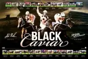 BLACK CAVIAR LUKE NOLEN PETER MOODY SIGNED L/E COLLAGE PRINT ONLY OR FRAMED