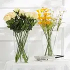 Plastic Hydroponics Flowerpot Round Square Box Planter Home Decoration