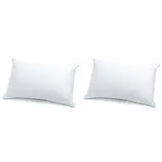 2PK Jason Kooling Honeycomb Medium Rectangle Sleeping Pillow Cushion White