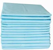 5 Pieces Incontinence Pads Absorbent Sheet