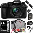 Panasonic Lumix G95 Mirrorless Camera + 12-60mm MFT OLED Lens w/ 64GB Bag Bundle