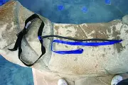 SPRINT Aquatics TETHER LEASH Swim in Place POOL Lane Swimming Training 612 USA