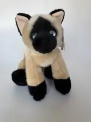 CAT Aurora Flopsies Seal Point SIAMESE Stuffed Animal Blue Eyes Jasmine