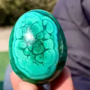 195G Natural glossy Malachite egg transparent cluster crystal mineral sample