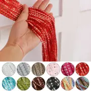 Hanging Beaded Curtain String Door Window Curtains Tassel Fly Screen Panel AU