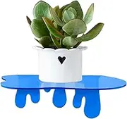 Floating Wall Shelf | Acrylic Display Storage Shelf,High-Transparency Aesthetic Display Shelving for Books Plants Photo Frame Perfume