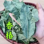 香椿/香椿葉/香椿乾/香椿茶/香椿料理