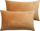 2 Pack Zippered Velvet Queen Pillowcases, Super Soft and Cozy Luxury Fuzzy Flann