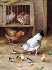 Farmyard Hens Chickens Accent Tile Mural Kitchen Wall Backsplash Marble Ceramic