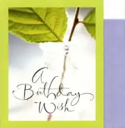 Green Happy Birthday Wishes Leaf Cutting Leaves Theme Hallmark Greeting Card