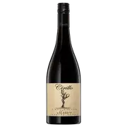 Cirillo Barossa Single Vineyard Mataro 2022 - Buy Online | The Wine Collective Marketplace