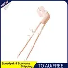 AU Cartoon Dinosaurs Learn Chopsticks Correct Usage for Children Beginners (Pink
