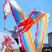 Dragon Poi Rainbow Modeling Dragon Dance Ribbon, Flowy Dragon Streamer Kites Set with 3D Real-Like Dragon Head, Square Exercise Colorful Dragon Streamer(10 m (33 ft))