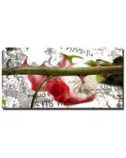 Ready2HangArt Born2BWild II 5-piece Canvas Wall Art by Tristan Scott