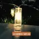 【北熊天空】透明夾子燈 LED照片夾燈串 4米40夾 生日 求婚派對裝飾燈串(相片燈串 透明夾子燈串 照片夾)