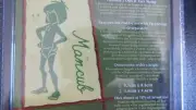 very cute DISNEY - THE JUNGLE BOOK - MOWGLI DIE with FACE STAMP DIS1704