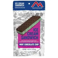 在飛比找蝦皮購物優惠-太空冰淇淋 美國正版 薄荷巧克力 Astronaut Ice