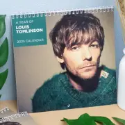 Louis Tomlinson 2025 Wall Calendar, Perfect Gift for Louis Tomlinson Fans