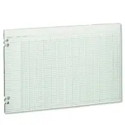 COLUMNAR RULED LEDGER PAPER 24 Columns 36 Lines per Page 11x17 By WILSON JONES