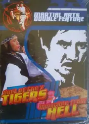 Duel of the 7 Tigers / Invincible From Hell (DVD, 2003) Philip Ko, Master Lee