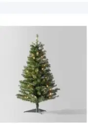 Alberta Spruce Lit Tree