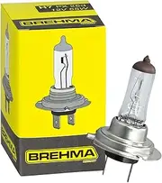 H7 PX26d Halogen Lamp 12 Volt 55 Watt