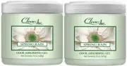 Clear Air Air Freshener Odor Absorber Gel Solid - 2 Pack - 15 Ounce