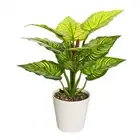 Simulated Plant Bonsai Lifelike Decorative Indoor Artificial Potted Plants Ne HG